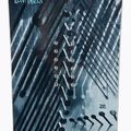 Placă de snowboard Lib Tech Legitimizer 4