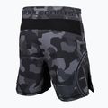 Pantaloni scurți de grappling pentru bărbați Pitbull West Coast Grappling Dillard grey 2