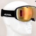 Ochelari de schi Alpina Big Horn QV black matt/gold sph 4