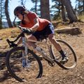 Bicicletă gravel Marin Gestalt XR white/grey 14