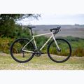 Bicicletă gravel Marin Nicasio 1 700C bone grey 3