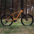 Bicicletă electrică Orbea Urrun 10 portocaliu M36819VK 2