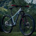 Bicicleta pentru copii Orbea Laufey 24 H20 gri N01624I9 2023 6