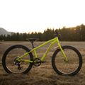 Bicicleta pentru copii Orbea MX20 Team galben M00520I6 6
