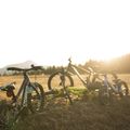 Bicicleta pentru copii Orbea MX20 Team galben M00520I6 8