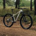 Orbea Laufey H10 argintiu M24619LW mountain bike 3