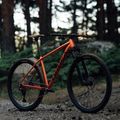 Orbea Onna 29 50 biciclete de munte roșu M20721NA 11