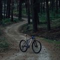 Orbea Onna 29 50 albastru/albastru biciclete de munte M20717NB 8