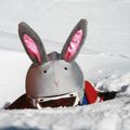 COOLCASC Bunny cască de protecție gri 003 4