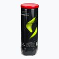 Mingi de padel Siux Neo Box 72 pack red 3