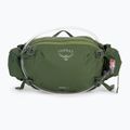 Sac de rinichi Osprey Seral 7L verde 10003209 2