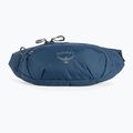 Osprey Daylite Waist Waist 2L sac de rinichi albastru marin 10003247 3