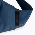 Osprey Daylite Waist Waist 2L sac de rinichi albastru marin 10003247 8