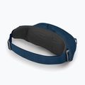 Osprey Daylite Waist Waist 2L sac de rinichi albastru marin 10003247 11