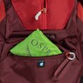 Rucsac pentru drumeții Osprey Stratos 26 roșu 10004053 6