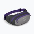 Sac de rinichi Osprey Daylite Waist 2L gri-violet 10004202 8