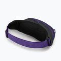 Sac de rinichi Osprey Daylite Waist 2L gri-violet 10004202 10