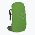 Rucsac de trekking pentru bărbați Osprey Kestrel 68 l verde 10004752 8