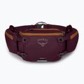 Borsetă de ciclism Osprey Savu 5 aprium purple