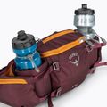 Borsetă de ciclism Osprey Savu 5 aprium purple 7