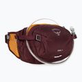 Borsetă de ciclism Osprey Seral 4 movă 10005092 2