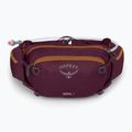 Borsetă de ciclism Osprey Seral 7 l z bukłakiem 1.5 l aprium purple