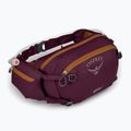 Borsetă de ciclism Osprey Seral 7 l z bukłakiem 1.5 l aprium purple 2