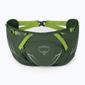 Osprey Duro Dyna 2 l verde alge marine/limon pungă pentru rinichi