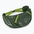 Osprey Duro Dyna 2 l verde alge marine/limon pungă pentru rinichi 2