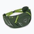 Borsetă Osprey Duro Dyna 2 l seaweed green/limon 2