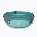 Borsetă Osprey Daylite Waist jetstream blue/cascade blue