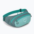 Borsetă Osprey Daylite Waist jetstream blue/cascade blue 2