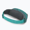 Borsetă Osprey Daylite Waist jetstream blue/cascade blue 3