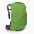 Rucsac turistic pentru femei Osprey Sirrus 24 l elderberry purple / chiru tan 4