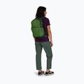 Rucsac turistic Osprey Daylite Plus 20 l green belet / green canopy 8