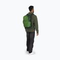 Rucsac turistic Osprey Daylite Plus 20 l green belet / green canopy 11