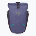 Rucsac de oraș Osprey Transporter Roll Top 20 l euphoria purple