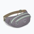 Borsetă Osprey Daylite Waist 2 l soundwave grey/ latte brown 2
