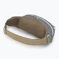 Borsetă Osprey Daylite Waist 2 l soundwave grey/ latte brown 3