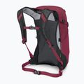 Rucsac turistic Osprey Hikelite 18 l chameleon / black 3