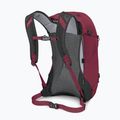 Rucsac turistic Osprey Hikelite 26 l chameleon/ black 4
