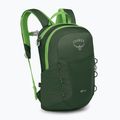 Rucsac turistic pentru copii  Osprey Jet 12 l green canopy / limeline green 2