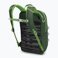 Rucsac turistic pentru copii  Osprey Jet 12 l green canopy / limeline green 3
