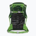 Rucsac turistic pentru copii  Osprey Jet 18 l green canopy/ limeline green 2