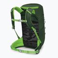 Rucsac turistic pentru copii  Osprey Jet 18 l green canopy/ limeline green 4