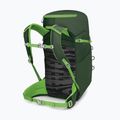Rucsac turistic Osprey Jet 28 l green canopy 3