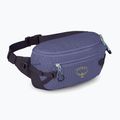 Borsetă Osprey Transporter Waist Pack 3 l euphoria 2