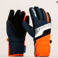 Mănuși de schi Reusch Dario R-TEX XT 49/61/212/4432 6