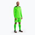 Joma Zamora VIII verde fluor kit de portar