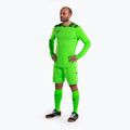 Joma Zamora VIII verde fluor kit de portar 2